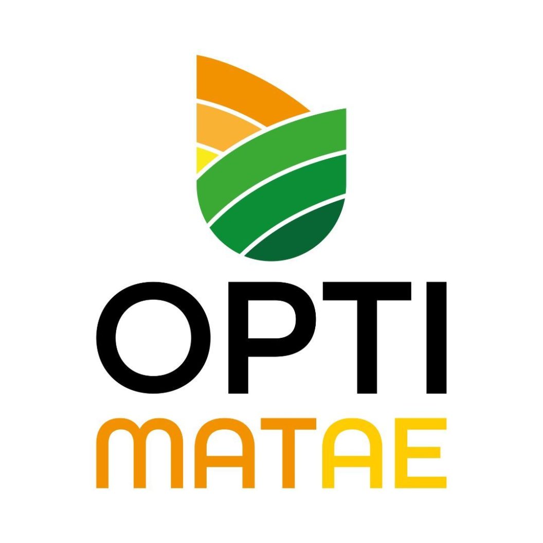 logo optimatae vertical couleur