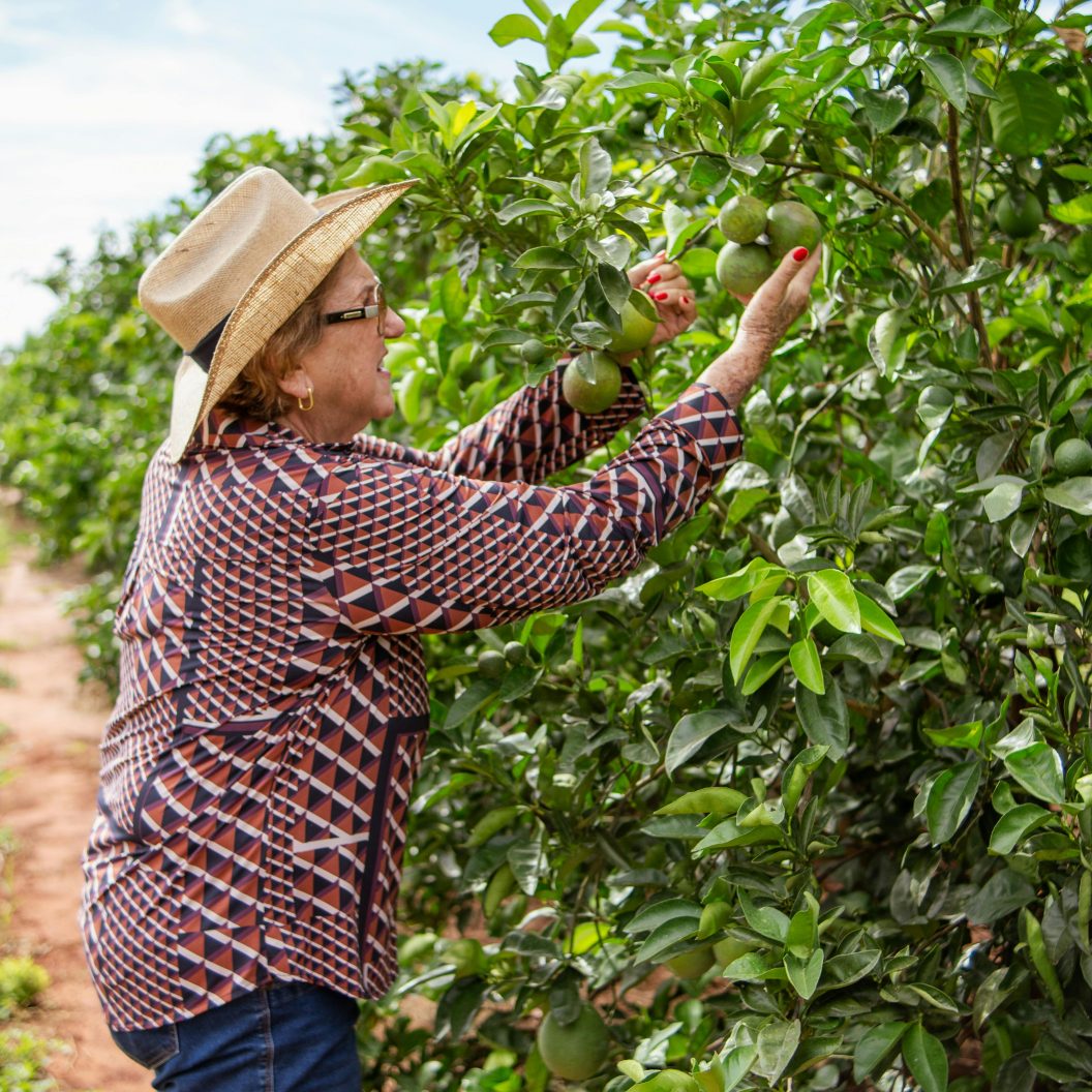 Dame cueillant des pommes contrats saisonniers